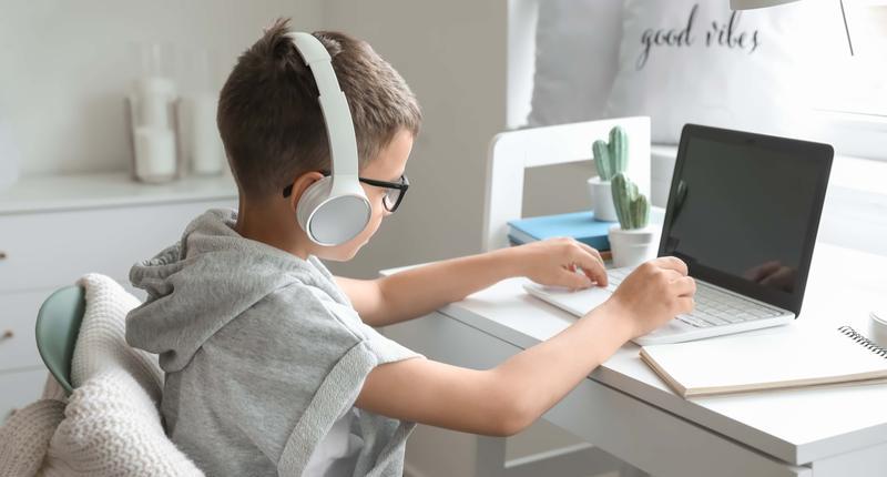 Cute little boy using laptop at home